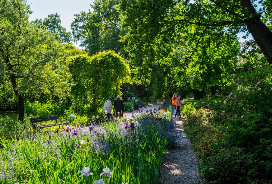 Botanic Garden of Warsaw University, Poland